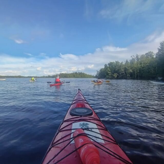 Tisdagspaddling 23.6. Nio medlemmar paddlade knappt 7,9 km i med- och motvind till Prästgrunden, via röret vid Vikarholmen. Pausen vid Prästberget gjorde oss gott, innan vi tog oss an tillbakavägen, stundvis i rejäl motvind. Via Tomssund rundade vi Lysarholmen samt stretchade oss under lilla bron nära Runebergs stuga. En mängd fåglar bongades också, bl.a. fiskmås, fisktärna, dvärgmås, skrattmås, gräsand, skäggdopping, ringduva, skogsduva, rödhake och gråhäger. En ensam liten svanunge väckte vår förundran.
#botniacanoe #tisdagspaddling #larsmosjön #föreningsliv #kajakmänniskor